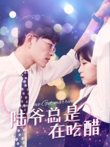 短剧陆爷总是在吃醋海报