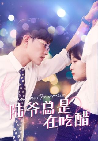 短剧陆爷总是在吃醋海报
