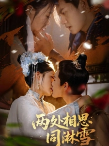 短剧两处相思同淋雪海报