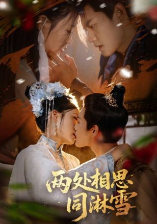 短剧两处相思同淋雪海报