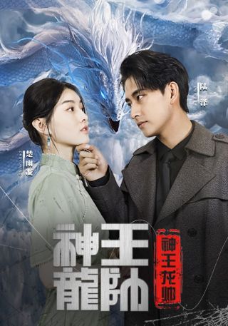 短剧神王龙帅海报