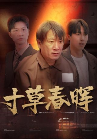 短剧寸草春晖海报