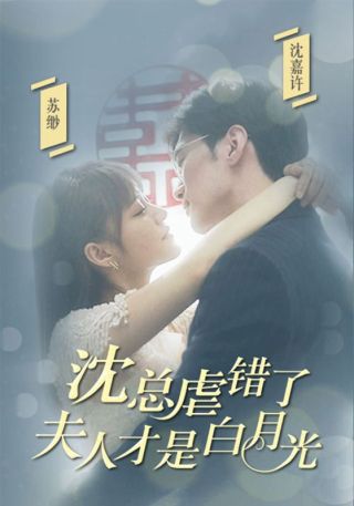 短剧沈总虐错了，夫人才是白月光海报