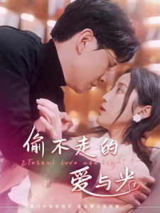 短剧偷不走的爱与光海报