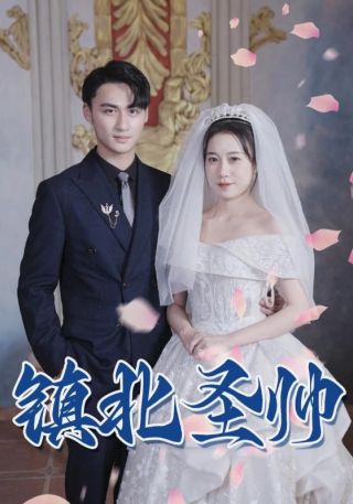 短剧镇北圣帅海报