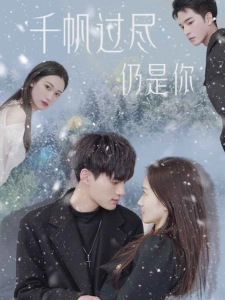 短剧千帆过尽仍是你海报