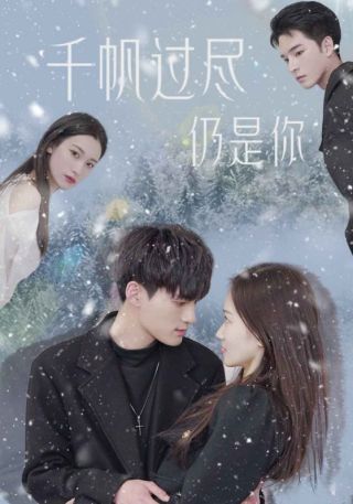 短剧千帆过尽仍是你海报
