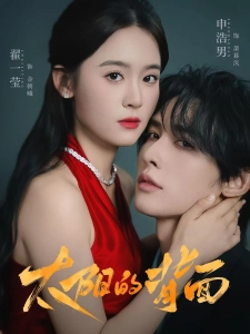 短剧太阳的背面海报