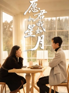 短剧愿君如星我如月海报