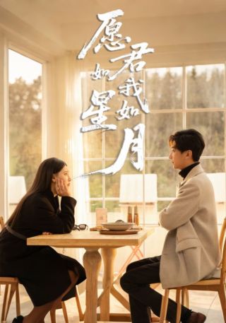 短剧愿君如星我如月海报