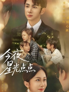 短剧今夜星光点点海报