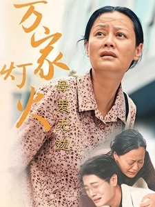 短剧万家灯火之母爱无边海报
