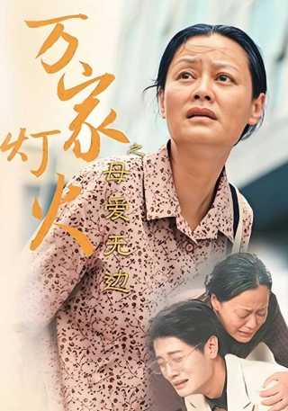 短剧万家灯火之母爱无边海报
