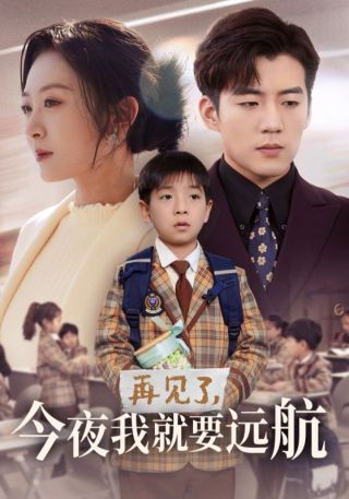 短剧再见了，今夜我就要远航海报