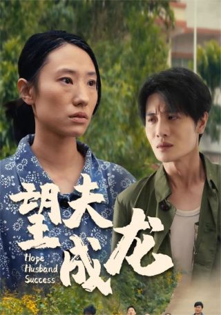 短剧望夫成龙海报