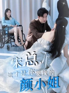 短剧宋总，她才是你要找的颜小姐海报