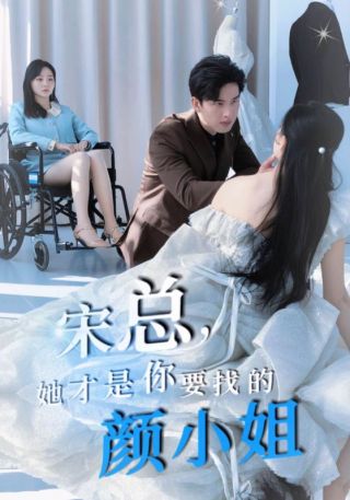 短剧宋总，她才是你要找的颜小姐海报