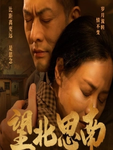 短剧望北思南海报