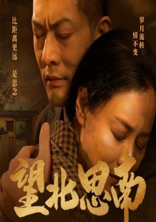 短剧望北思南海报