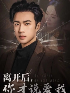 短剧离开后，你才说爱我海报