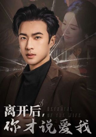 短剧离开后，你才说爱我海报