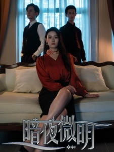 短剧暗夜微明海报