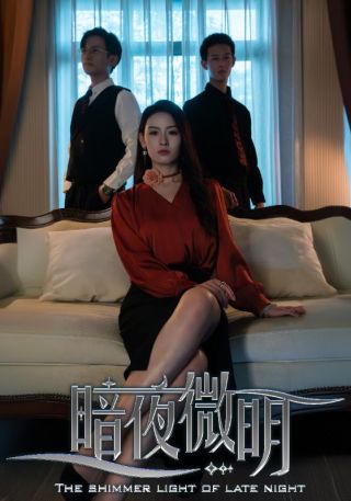 短剧暗夜微明海报