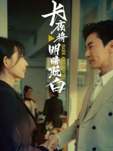 短剧长夜将明暗既白海报