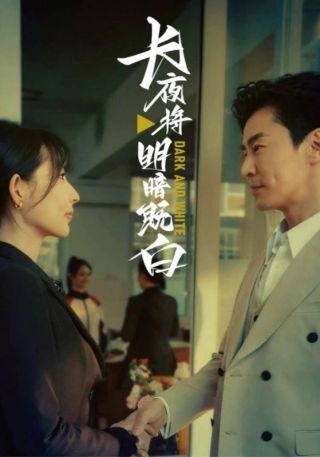 短剧长夜将明暗既白海报