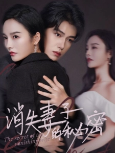 短剧消失妻子的秘密海报