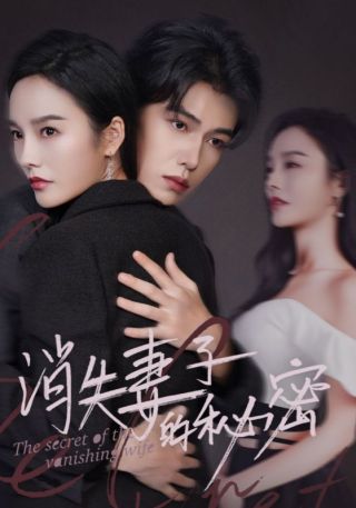 短剧消失妻子的秘密海报