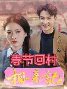 短剧春节回村相亲记海报