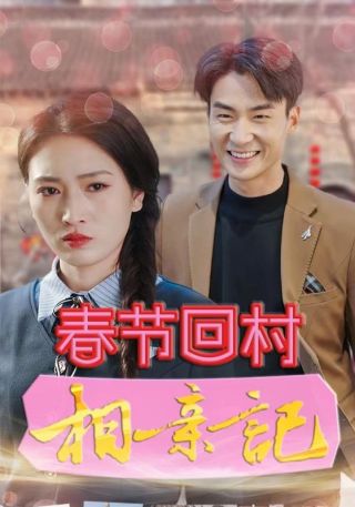 短剧春节回村相亲记海报