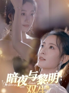 短剧暗夜与黎明：双生海报