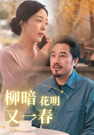 短剧柳暗花明又一春海报