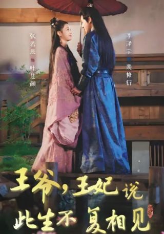 短剧王爷，王妃说此生不复相见海报