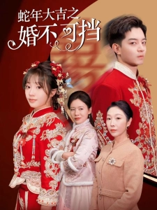 短剧蛇年大吉之婚不可挡海报