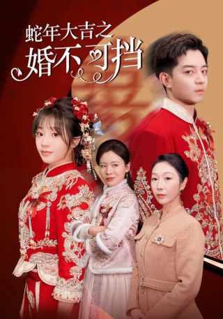 短剧蛇年大吉之婚不可挡海报