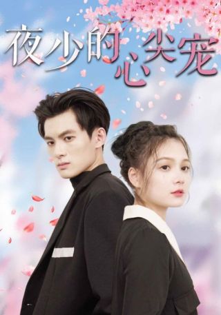 短剧夜少的心尖宠海报