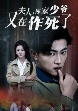 短剧夫人，你家少爷又在作死了海报