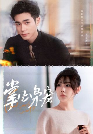 短剧掌心枭宠海报