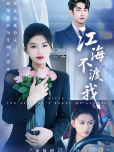 短剧江海不渡我海报