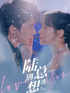 短剧陆总别想逃海报