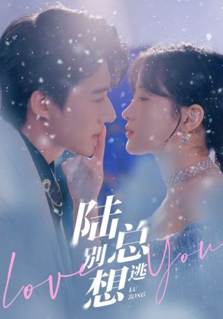 短剧陆总别想逃海报