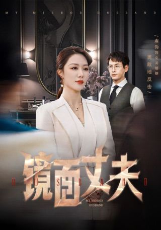 短剧镜面丈夫海报