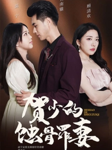 短剧贺少的蚀骨罪妻海报