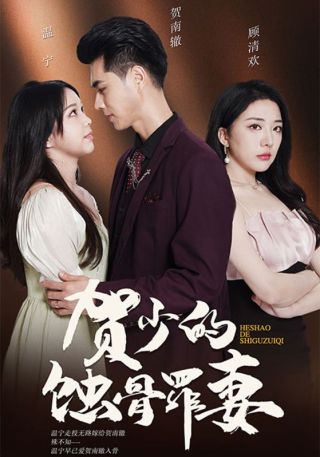 短剧贺少的蚀骨罪妻海报