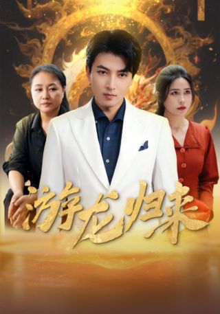 短剧游龙归来海报