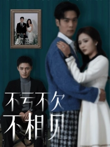 短剧不亏不欠不相见海报