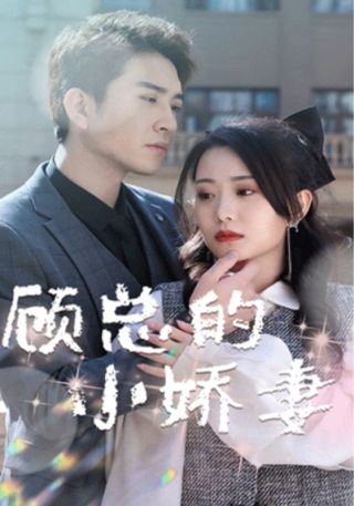 短剧顾总的小娇妻海报